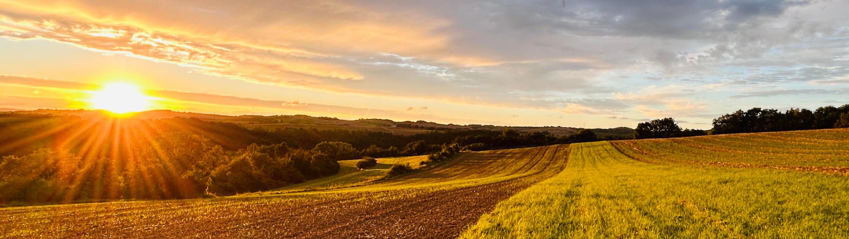 Pfarrei St. Franziskus und St. Klara Untermosel-Hunsrück