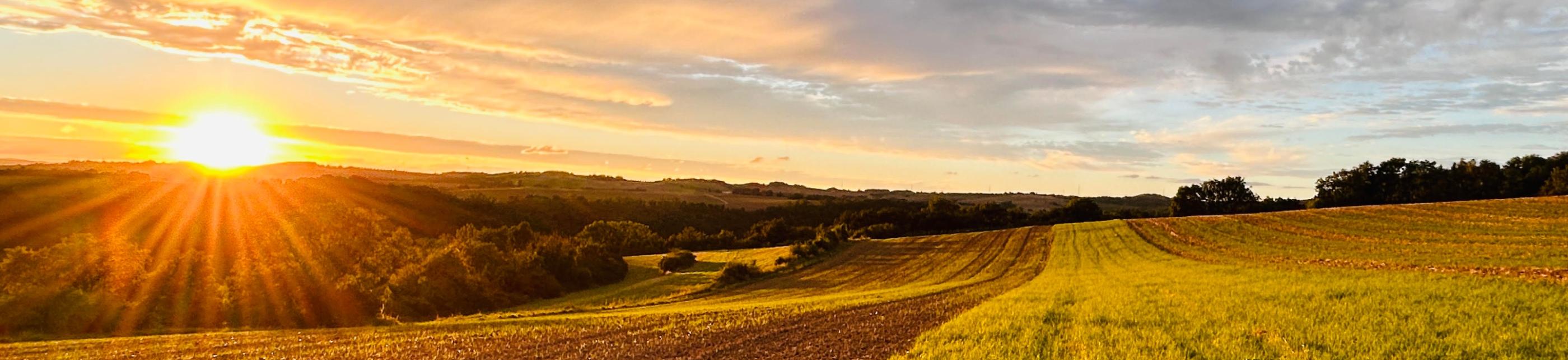 Pfarrei St. Franziskus und St. Klara Untermosel-Hunsrück