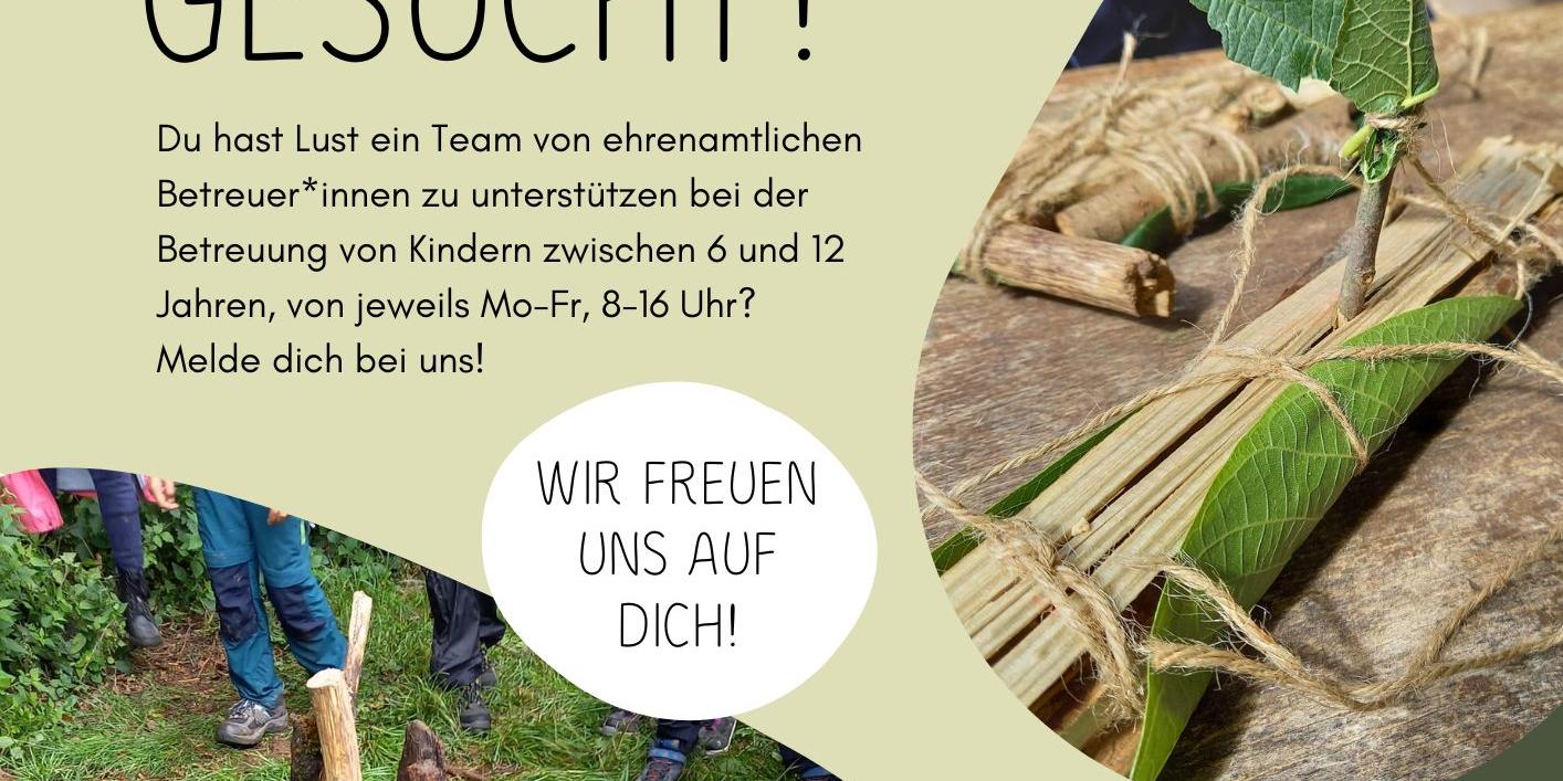 TeamerInnen Waldferientage gesucht!